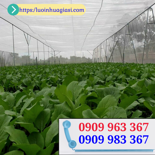 Lưới mùng ngăn côn trùng giá rẻ nhiều màu lưới mùng trắng rào vườn trồng rau