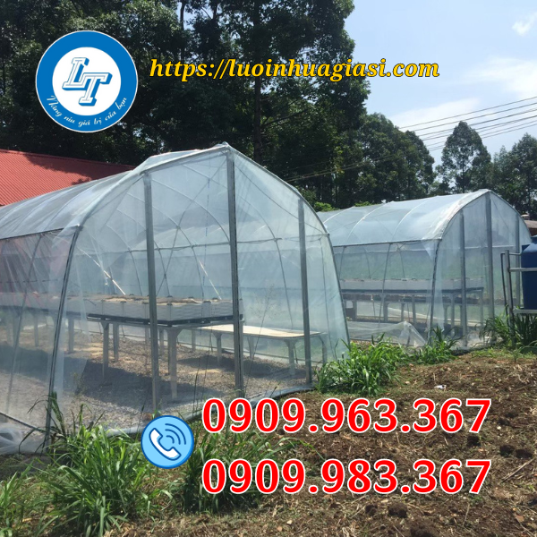 LƯỚI MÙNG CƯỚC CHỐNG CÔN TRÙNG ĐỦ MÀU GIÁ CẠNH TRANH lưới mùng trồng rau