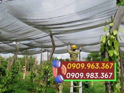 Báo giá sỉ lưới mùng đen mới nhất lưới mùng đen che tiêu