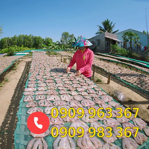 Địa chỉ bán lưới mùng nhiều màu giá rẻ lưới mùng xanh phơi cá khô