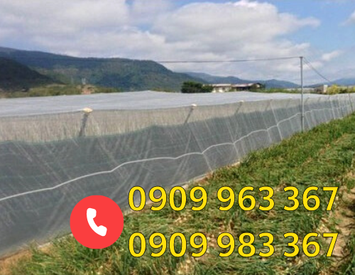 Tìm mua lưới mùng trắng rào vườn trồng rau giá rẻ tốt lưới mùng trắng rào vườn