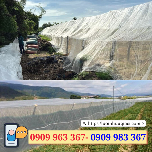 Lưới chống côn trùng là gì? Mua đâu rẻ? lưới mùng trùm cây