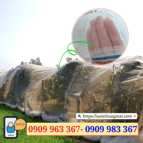 Lưới chắn côn trùng giá rẻ lưới mùng trắng trùm cây ăn quả