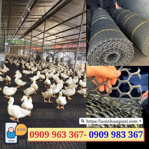 Lưới nhựa cứng lót sàn giá rẻ lưới nhựa cứng lót sàn nuôi gà vịt
