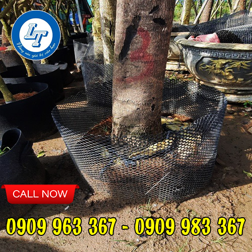 Giá bán sỉ lưới nhựa mắt cáo màu xanh khổ 2m lưới nhựa mắt cáo trồng cây