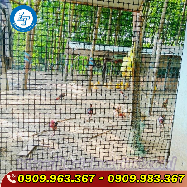 MUA LƯỚI NHỰA DẺO ĐEN Ở ĐÂU GIÁ RẺ ĐỦ KÍCH THƯỚC LƯỚI NHỰA DẺO RÀO VƯỜN