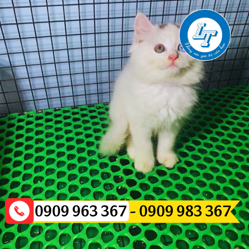 LƯỚI NHỰA XANH MẮT NHỎ GIÁ SỈ RẺ TPHCM lưới nhựa lót sàn chăn nuôi