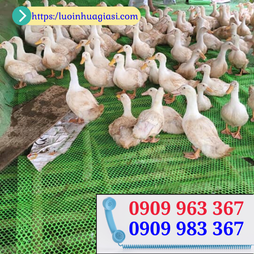 Lưới nhựa lót sàn chăn nuôi loại nào tốt giá rẻ? lưới nhựa lót sàn vịt