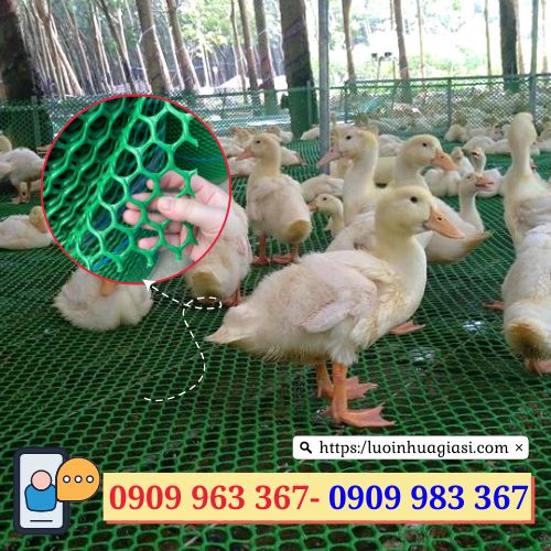 Lưới nhựa rào gà vịt giá rẻ TPHCM lưới nhựa lót sàn nuôi vịt