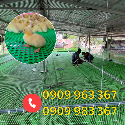sỉ rẻ lưới nhựa mắt nhỏ 1cm lưới nhựa mắt nhỏ lót sàn nuôi vịt