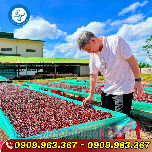 LƯỚI CƯỚC XANH MẮT NHỎ 5LY GIÁ SỈ lưới cước phơi nông sản