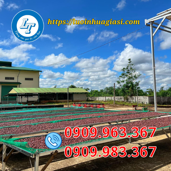 LƯỚI MÙNG MÀU XANH LÁ, XANH DƯƠNG Ở ĐÂU BÁN? lưới phơi nông sản