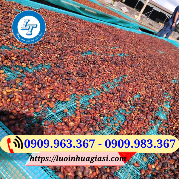 BÁN LƯỚI NHỰA PHƠI NÔNG SẢN GIÁ RẺ CHO NHÀ NÔNG lưới phơi cà phê nông sản