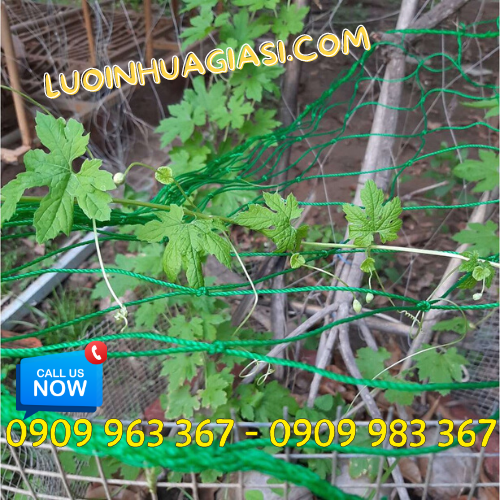 Lưới làm giàn leo bầu bí ở đâu có bán? lưới làm giàn