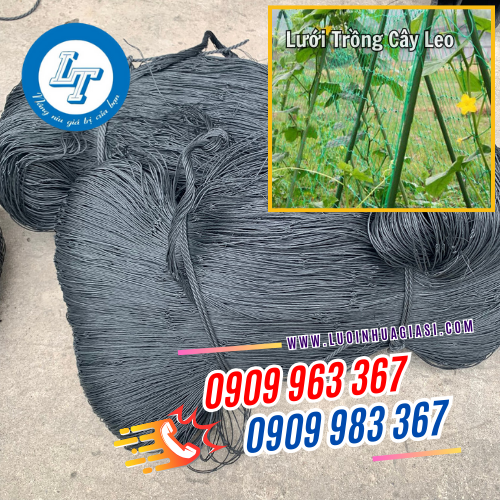 lưới trồng cây leo giúp cây sinh trưởng tốt lưới trồng cây leo giúp cây sinh trưởng tốt