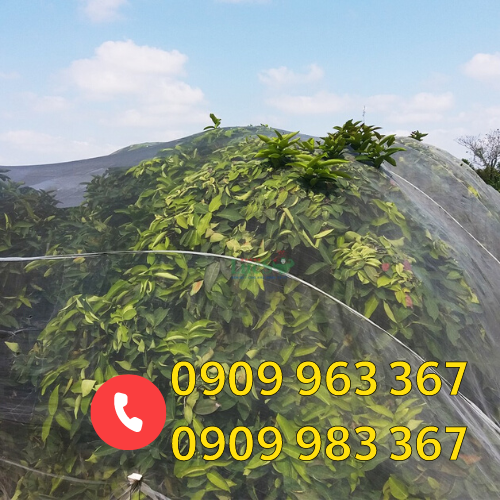 Địa chỉ bán lưới mùng nhiều màu giá rẻ lưới mùng trùm cây mận chắn côn trùng