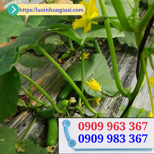 Cuộn màng phủ nông nghiệp giá bao nhiêu? màng phủ đất