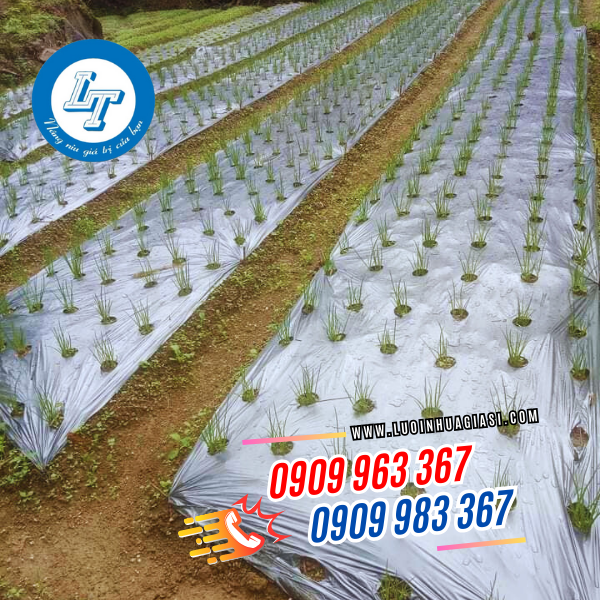 ĐƠN VỊ CHUYÊN BẠT PHỦ NÔNG NGHIỆP ĐỤC LỖ GIÁ RẺ TPHCM màng phủ nông nghiệp