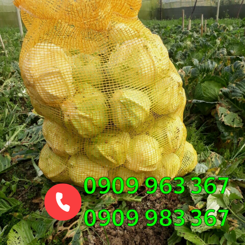 Mua bao lưới đựng nông sản ở đâu giá rẻ bao tải lưới đựng rau củ quả