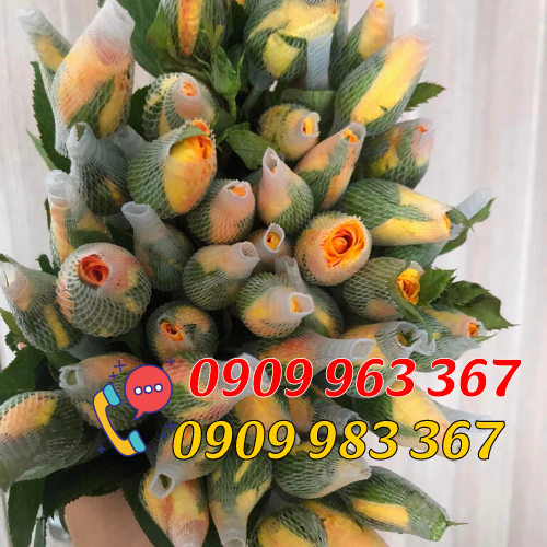 Bỏ sỉ lưới bao hoa tươi các loại Lưới bao hoa hồng