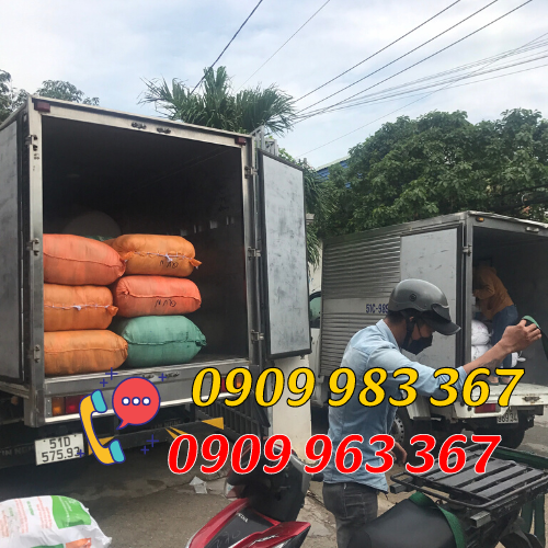 Bỏ sỉ lưới bao hoa tươi các loại lưới bao hoa giá sỉ