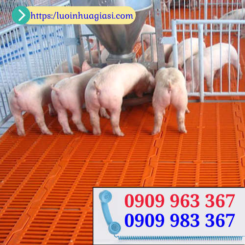 Mua tấm nhựa lót sàn nuôi heo ở đâu giá rẻ? tấm nhựa lót sàn nuôi heo