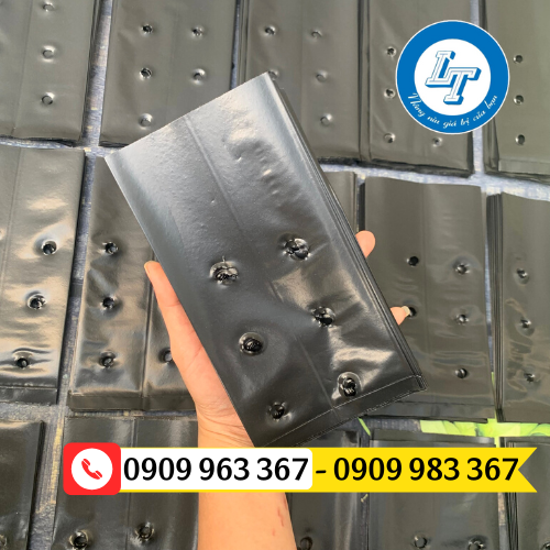 Mua túi bầu ươm cây giá sỉ ở đâu? túi bầu ươm cây