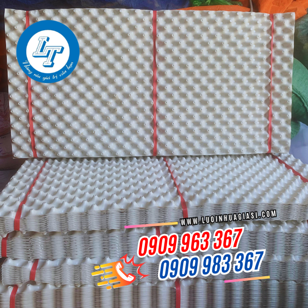 BẦU NHỰA ƯƠM CÂY GIÁ SỈ CHO NHÀ VƯỜN BẦU NHỰA ƯƠM CÂY GIÁ SỈ CHO NHÀ VƯỜN