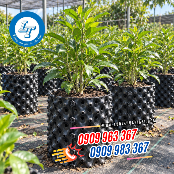 Bầu ươm cây thông minh Bầu ươm cây thông minh