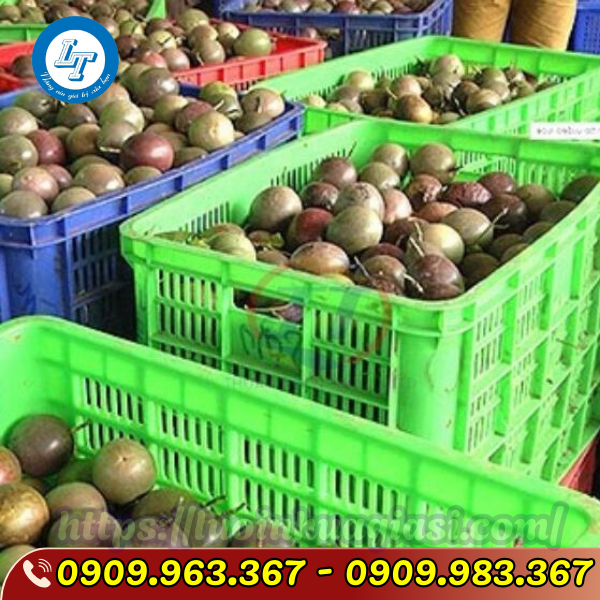 MUA RỖ NHỰA ĐÓNG XOÀI CÓ NẮP Ở ĐÂU GIÁ RẺ sọt nhựa đựng trái cây