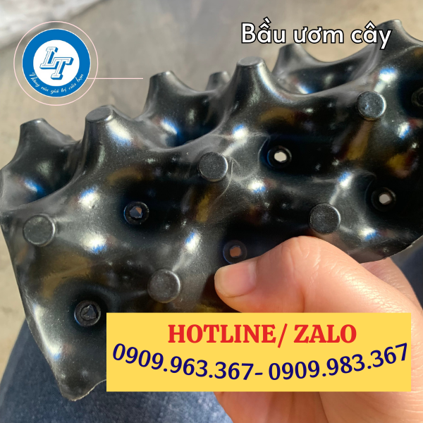 GIÁ SỈ TẤM NHỰA BÓ BẦU CÂY THEO KÍCH THƯỚC bầu ươm cây