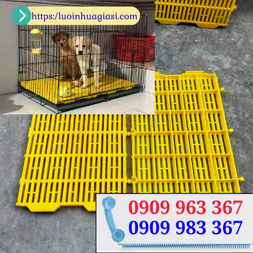 Bán tấm nhựa lót sàn chuồng chó giá rẻ tấm nhựa lót sàn chuồng chó màu vàng 40x60