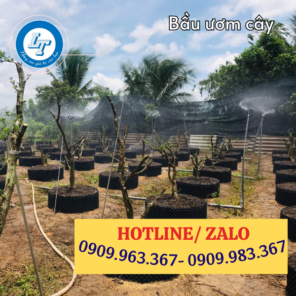 GIÁ SỈ TẤM NHỰA BÓ BẦU CÂY THEO KÍCH THƯỚC tấm nhựa bó bầu cây