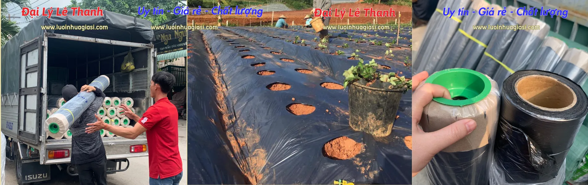 MÀNG PHỦ NÔNG NGHIỆP