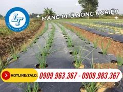 CHUYÊN BẠT PHỦ NÔNG NGHIỆP ĐỤC LỖ GIÁ SỈ TẠI SÀI GÒN