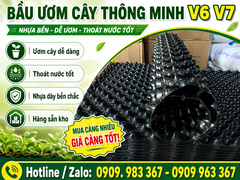 BẦU ƯƠM V6 VÀ V7 KHÁC NHAU NHƯ THẾ NÀO? GIÁ BÁN SỈ