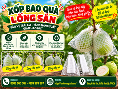 XỐP LƯỚI BAO TRÁI KÈM TÚI BÓNG VÀ DÂY THUN