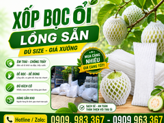 XƯỞNG SẢN XUẤT & BÁN BUÔN XỐP BỌC ỔI LỒNG SẴN TẠI TPHCM