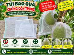 TÚI BỌC TRÁI CÂY CHỐNG CÔN TRÙNG GIÁ SỈ RẺ TẠI XƯỞNG