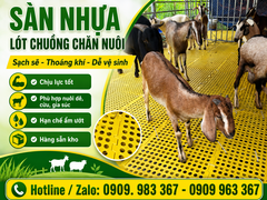 NƠI BÁN TẤM NHỰA LÓT SÀN CHĂN NUÔI GIA SÚC, GIA CẦM GIÁ RẺ NHẤT