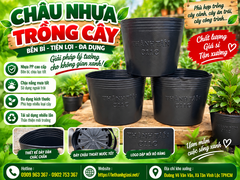 CHẬU NHỰA MỀM GIÁ SỈ RẺ TẠI SÀI GÒN