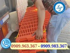 Mua tấm nhựa lót sàn nuôi heo ở đâu giá rẻ?