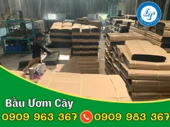 MUA TẤM NHỰA LÀM CHẬU CÂY Ở ĐÂU GIÁ RẺ, UY TÍN