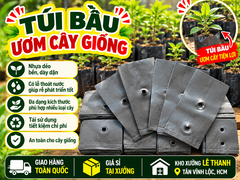 TÚI BẦU ĐẤT ƯƠM CÂY GIỐNG GIÁ RẺ ĐỦ CỠ