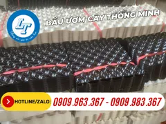 BÁO GIÁ SỈ BẦU ƯƠM CÂY V6 MÀU TRẮNG, ĐEN TẠI LÊ THANH