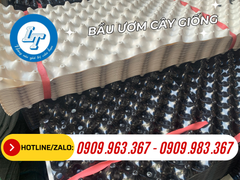 BẦU NHỰA ƯƠM CÂY GIÁ SỈ CHO NHÀ VƯỜN