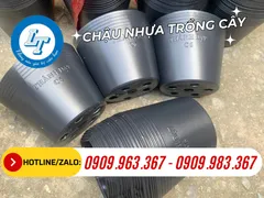 CHẬU NHỰA ĐEN MỀM TRỒNG CÂY C6 GIÁ SỈ