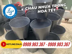 ĐỊA CHỈ BÁN RẺ CHẬU NHỰA MỀM TRỒNG HOA TẾT