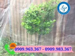 Bỏ sỉ lưới mùng trắng TPHCM