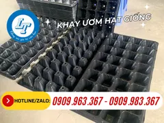 MUA KHAY ƯƠM HẠT GIỐNG 32 LỖ, 72 LỖ, 200 LỖ Ở ĐÂU GIÁ RẺ? 